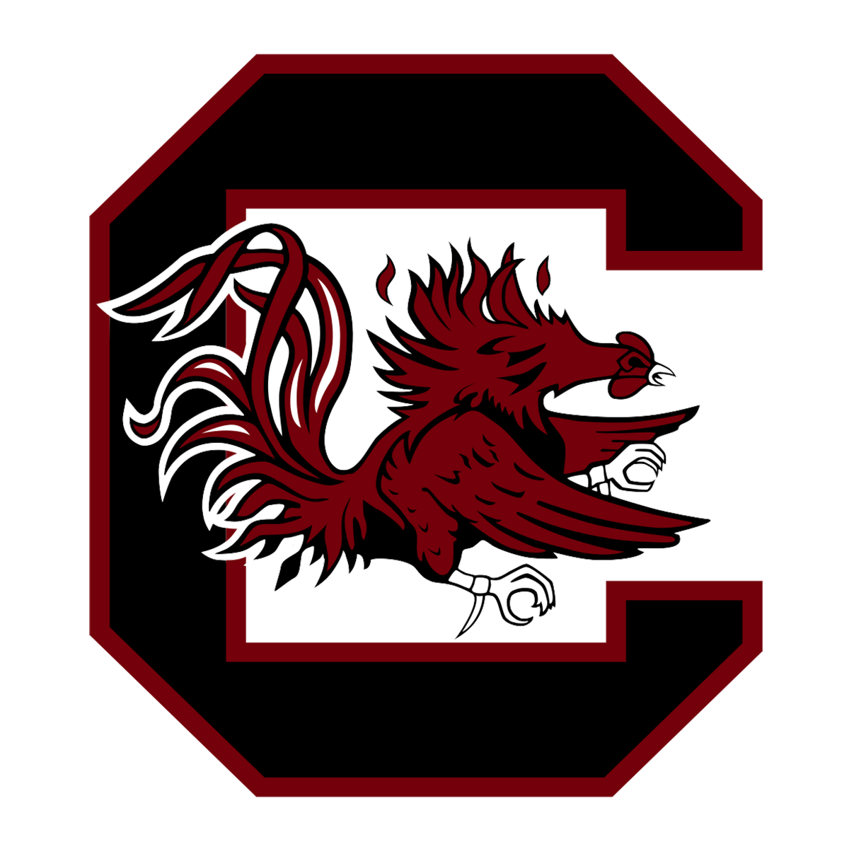 University of South Carolina